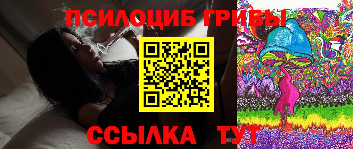 Долгопрудный  Галлюциногенные грибы Psilocybine cubensis  Вход с VPN 
